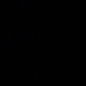 Meet your Posher, Arian